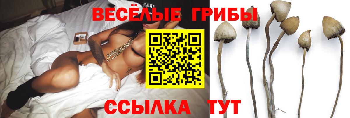 Галлюциногенные грибы Cubensis  Вход с VPN  Симферополь 